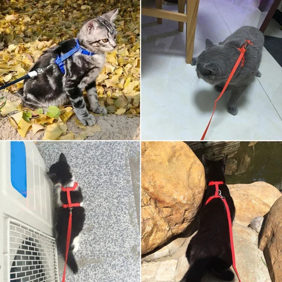 Cat Harness Leash, H-Style Escape-Proof Vest with Adjustable Straps, Nylon Harness for Safe & Comfortable Walking