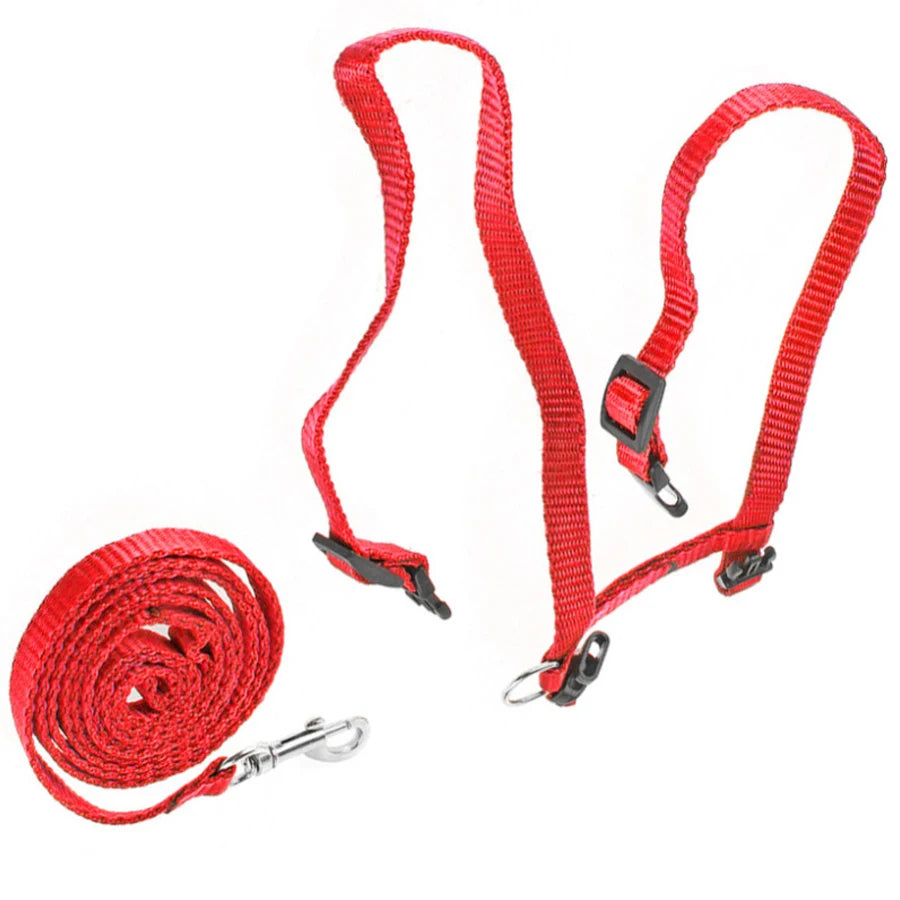 Cat Harness Leash, H-Style Escape-Proof Vest with Adjustable Straps, Nylon Harness for Safe & Comfortable Walking