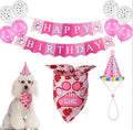 Pet Birthday Party Set Balloon Bandana Hat Bowtie Slogan Supplies for Celebrating Dog Products Supplies All for Pets Cats Party