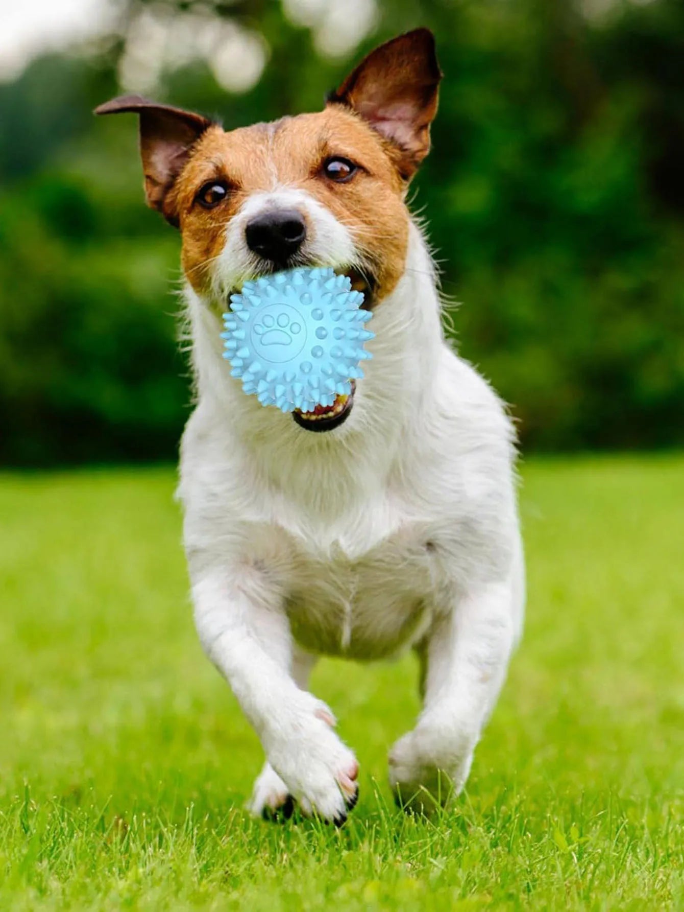 Dog Chewing Toy Interactive Rubber Ball for Small Large Dog Cat Pet Tooth Cleaning Indestructible Footprint Ball Pet Accessories