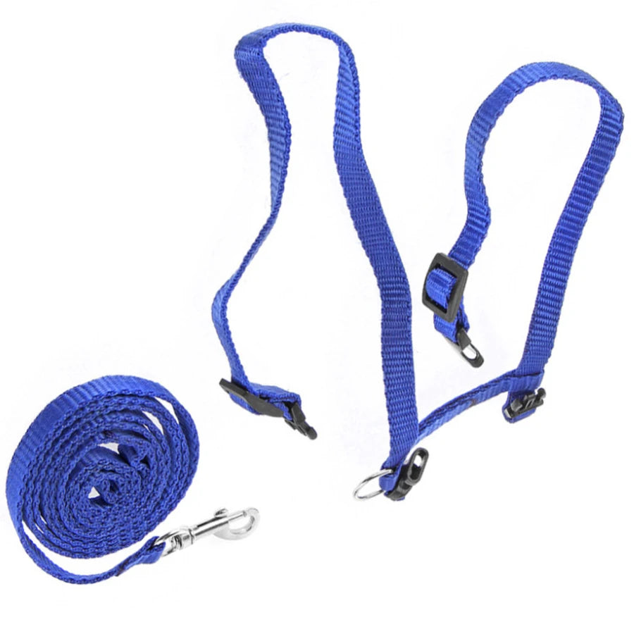 Cat Harness Leash, H-Style Escape-Proof Vest with Adjustable Straps, Nylon Harness for Safe & Comfortable Walking